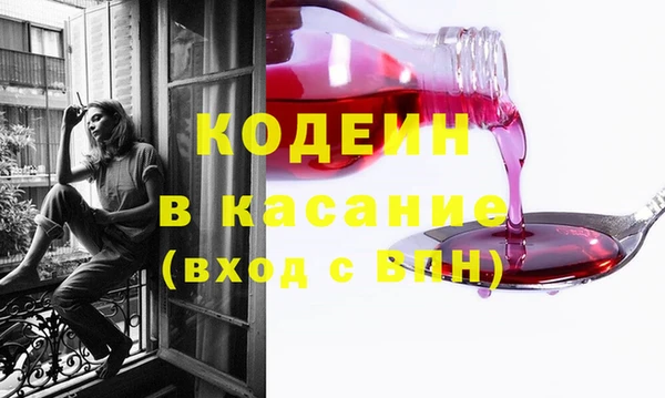крисы Вяземский