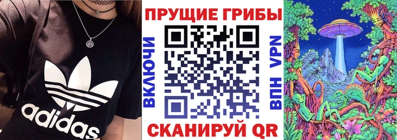 Псилоцибиновые грибы ЛСД  KRAKEN вход  Западная Двина 