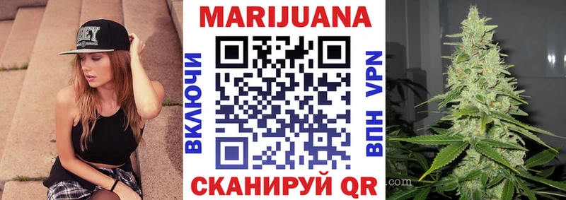 купить закладку  Западная Двина  Марихуана SATIVA & INDICA 
